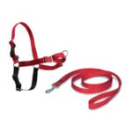 ARNES EASY WALK