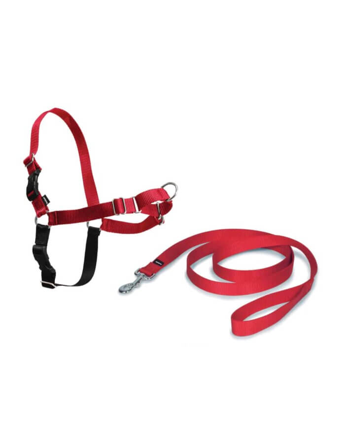 ARNES EASY WALK - Imagen 1
