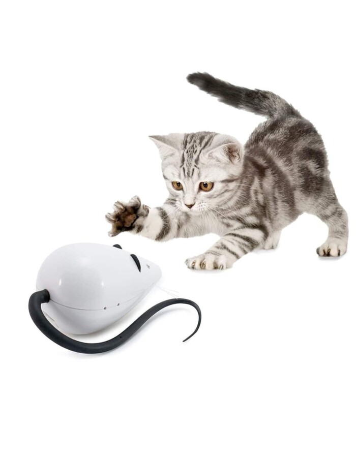 PETSAFE-FROLICAT - Imagen 1