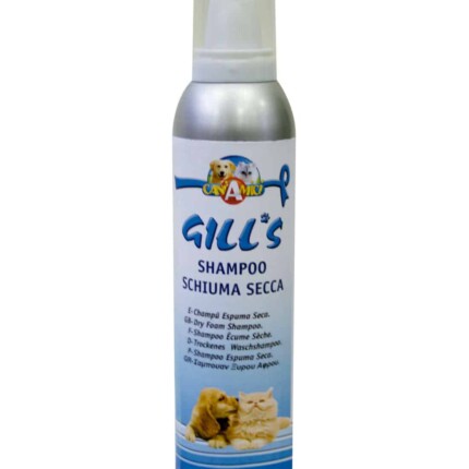 CHAMPU ESPUMA SECA