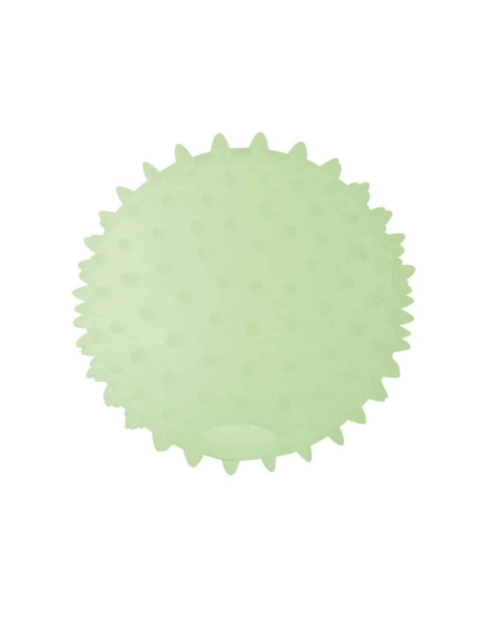 PELOTA PINCHO FLUORESCENTE PARA PINCHO - Imagen 1