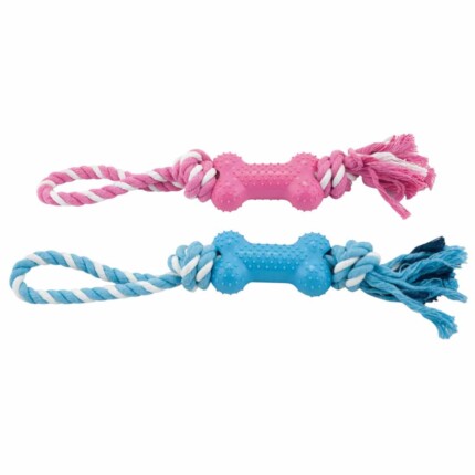 HUESO VERTICAL CON CUERDA DENTAL