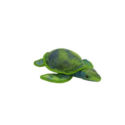 TORTUGA CARIBE