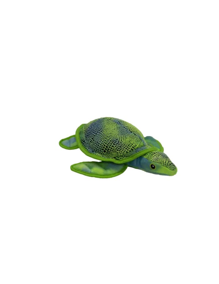 TORTUGA CARIBE - Imagen 1