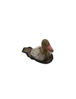 SCOTT DUCK