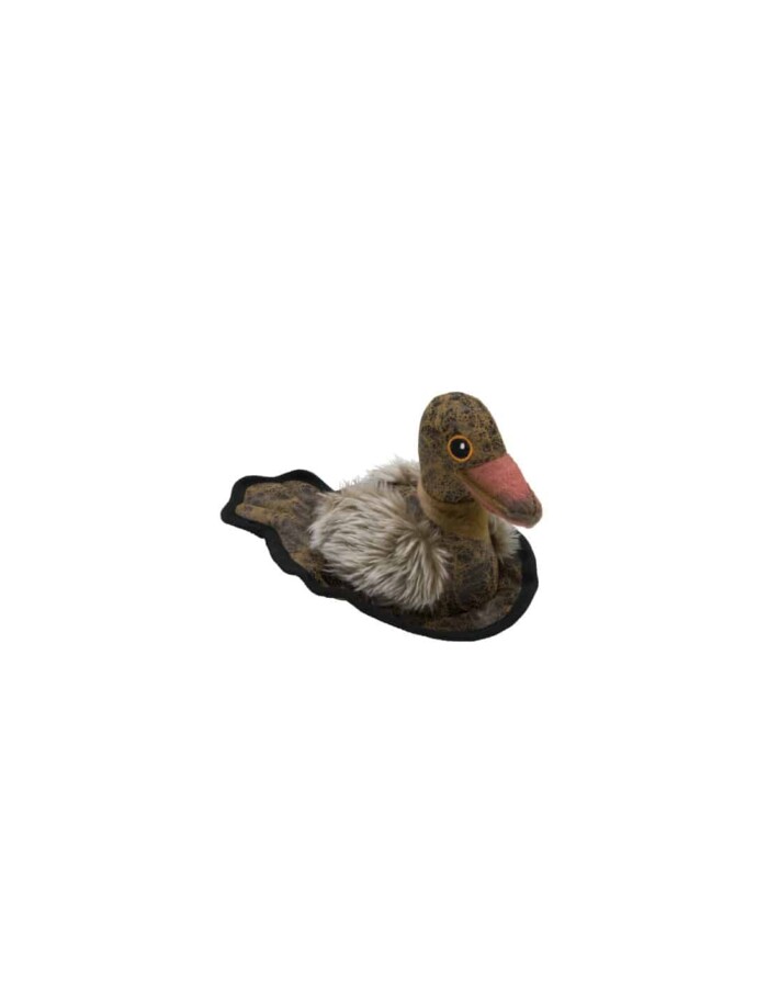 SCOTT DUCK - Imagen 1