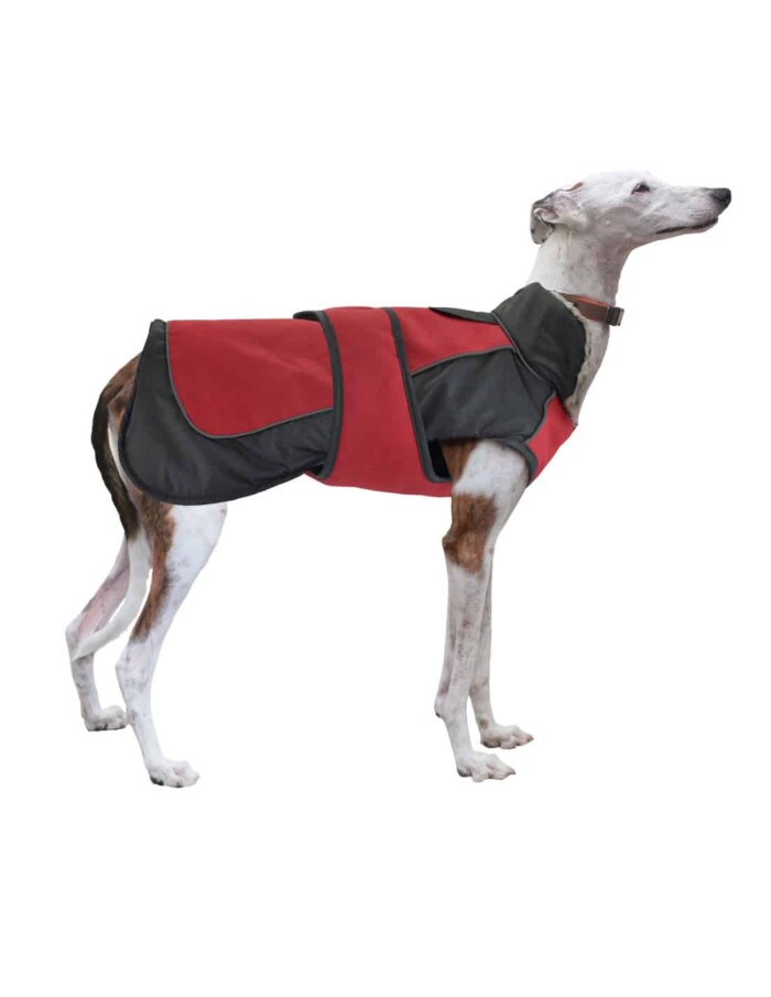 CHAQUETA WATER RESISTANT  X-TREK - Imagen 1