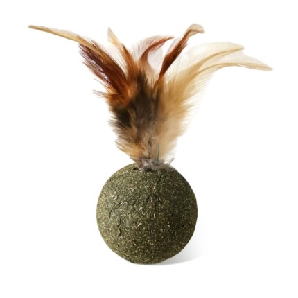 PELOTA DE CATNIP CON PLUMA