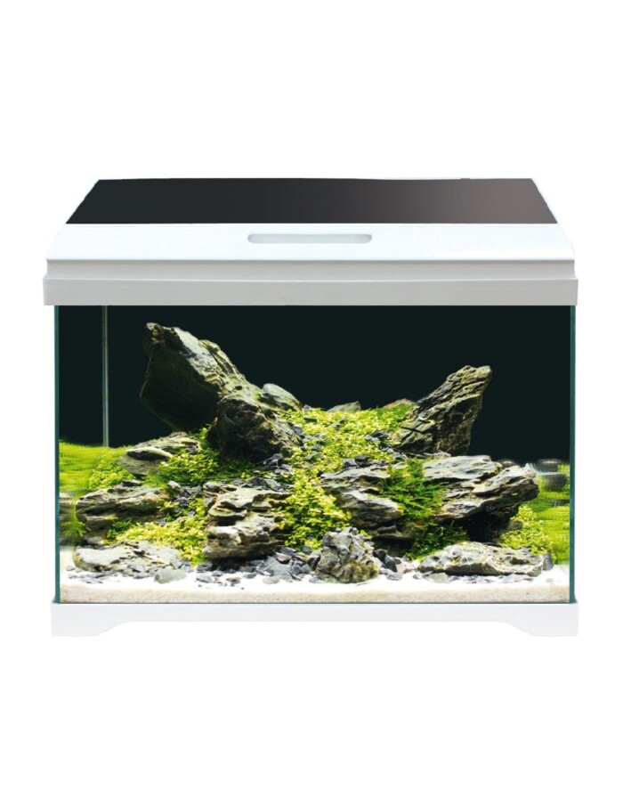 ACUARIO AMTRA MODERN TANK - Imagen 1