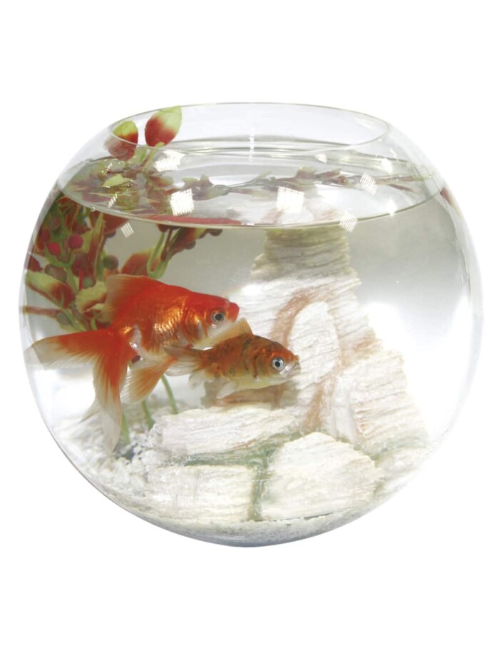 PECERA GLOBO CRISTAL - Imagen 1