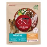 PURINA® ONE® Mini Perro Dental seco Pollo y Arroz