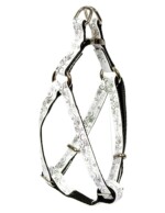 ARNES ENVY WILD FOR EVER