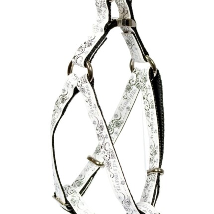 ARNES ENVY WILD FOR EVER