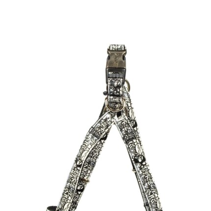 ARNES ENVY STREET DOG