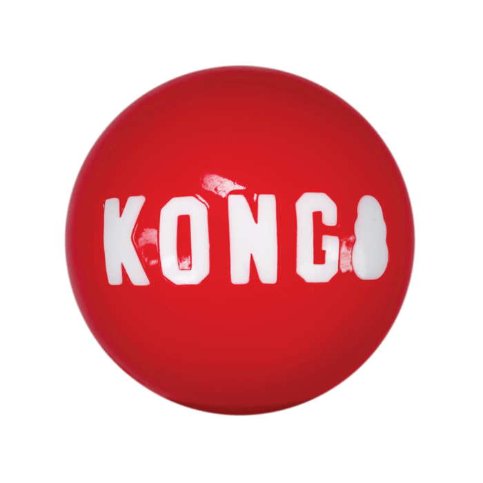 KONG Signature Ball Bulk - Imagen 1