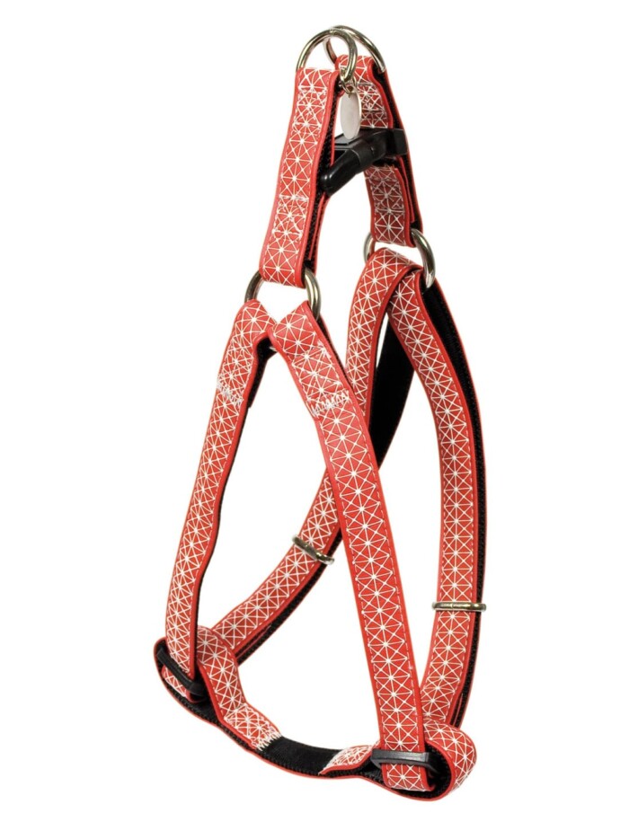 ARNES MACLEATHER CROSS - Imagen 1