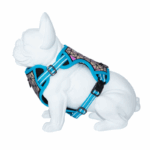 Freedog Arnés Boreal Azul Capri