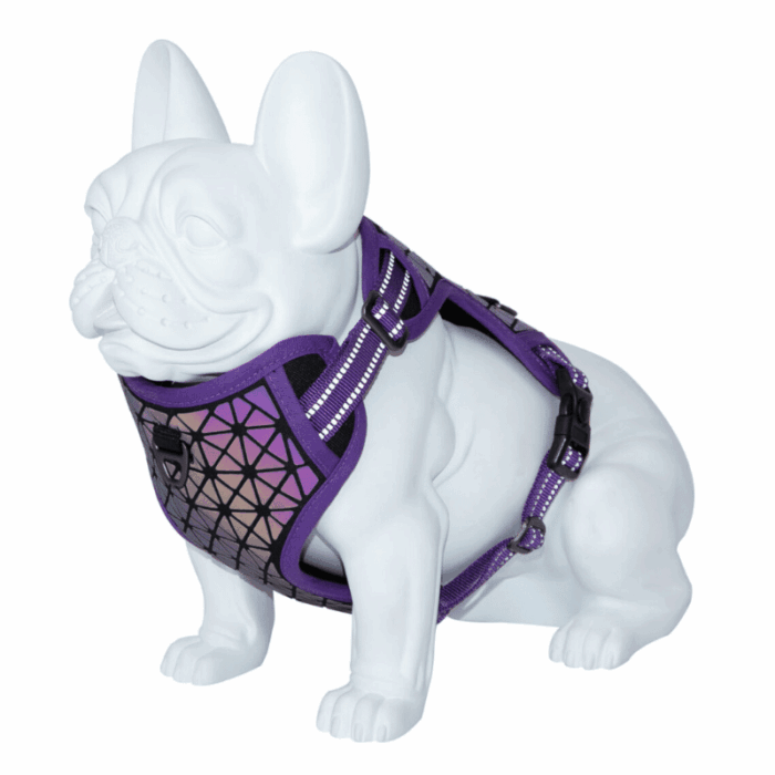Freedog Arnés Boreal Azul Lila - Imagen 1