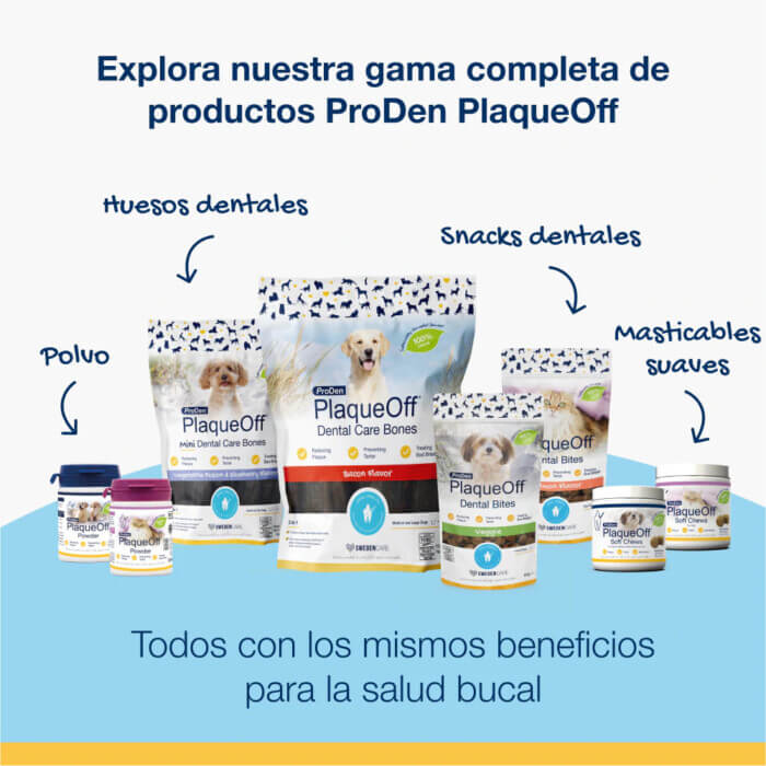 PlaqueOff Polvo para Gatos 40g - Imagen 5