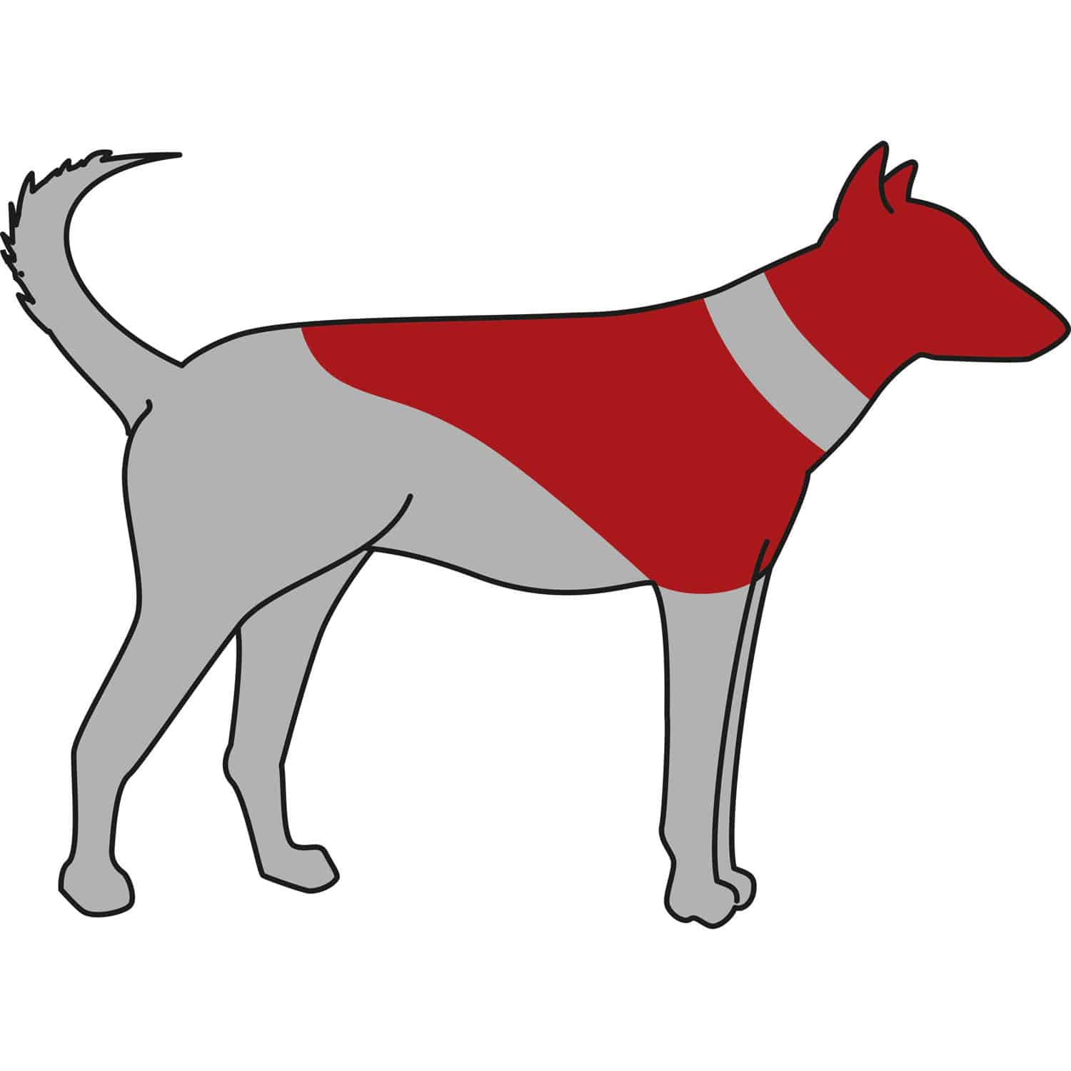 Collar Protector - Imagen 1
