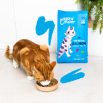 Ed&Co Gato Adulto Salmón - Imagen 2