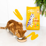 -70% OUTLET- Ed&Co Gato Adulto Pavo y Pollo 325gr - Imagen 2
