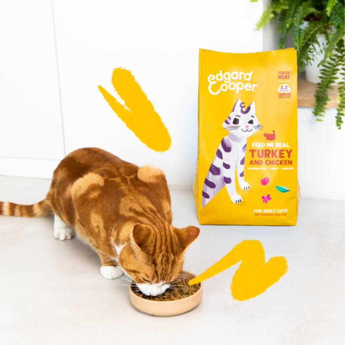 -70% OUTLET- Ed&Co Gato Adulto Pavo y Pollo 325gr - Imagen 2