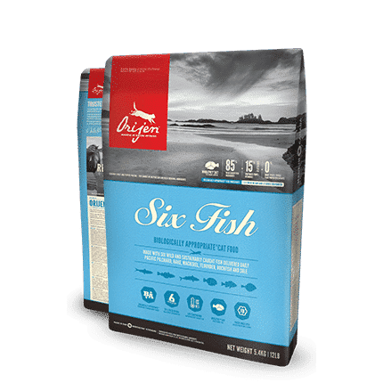SIX FISH DE ORIJEN GATO