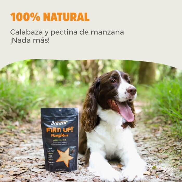 Nevanto Suplemento Digestivo Firm Up- Perros y Gatos - Imagen 3