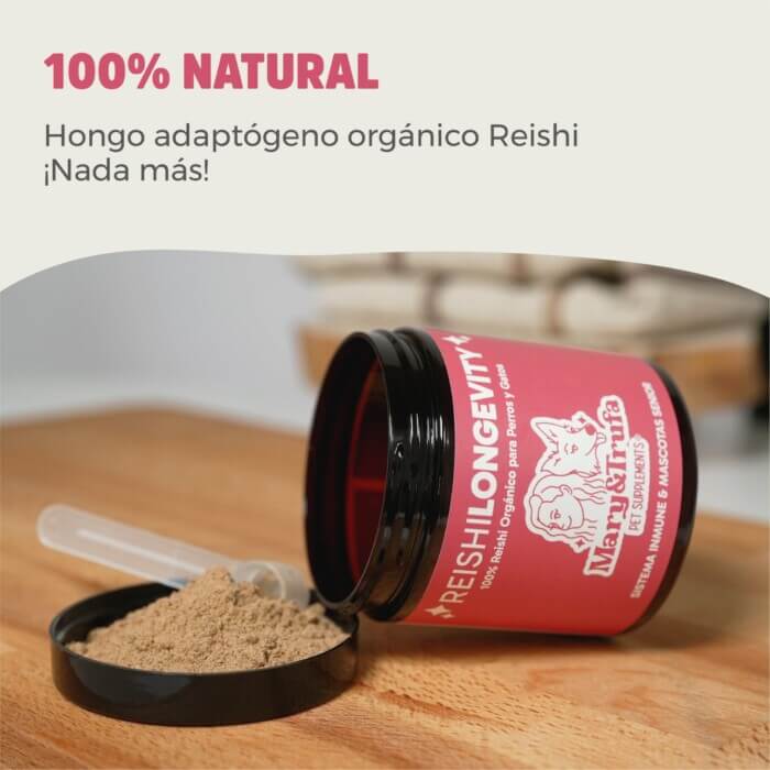 Mary&Trufa Suplemento Refuerzo Sist. Inmune y Seniors Reishi Longevity 75gr- Perros y Gatos - Imagen 3