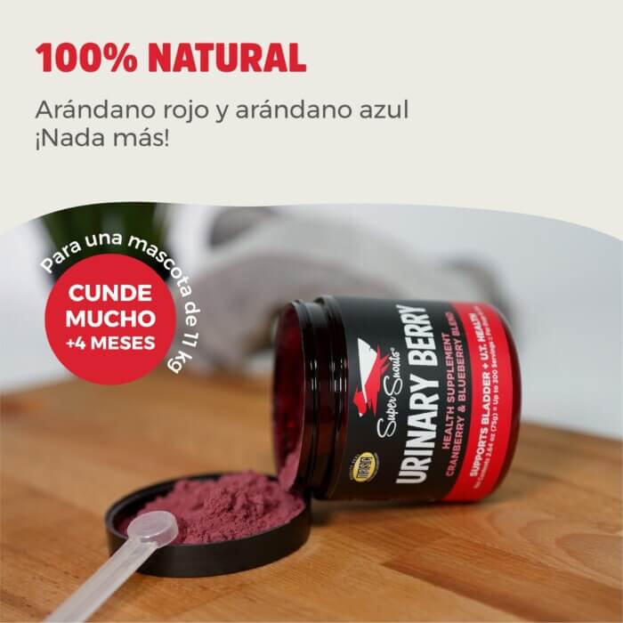 Nevanto Suplemento Urinary Berry 75g- Perros y Gatos - Imagen 3