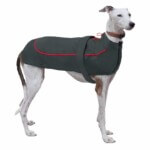 Nayeco Chubasquero X-Trek Rojo Para Perros