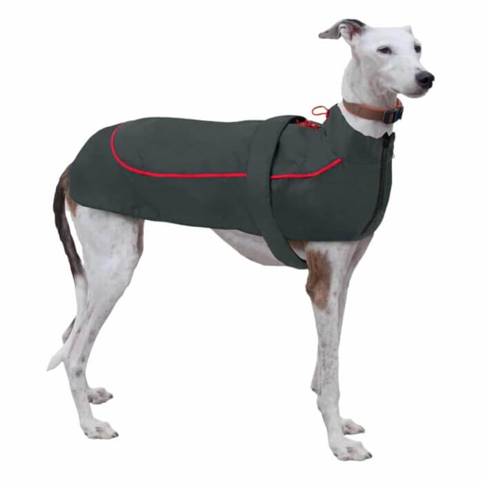 Nayeco Chubasquero X-Trek Rojo Para Perros - Imagen 1