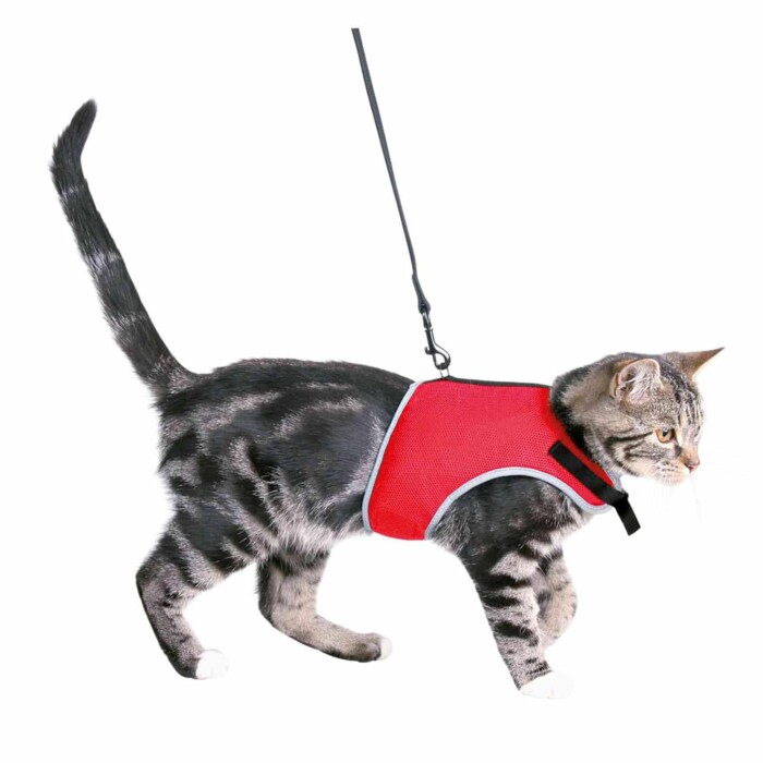 Arnés Suave-Correa Gatos - Imagen 1