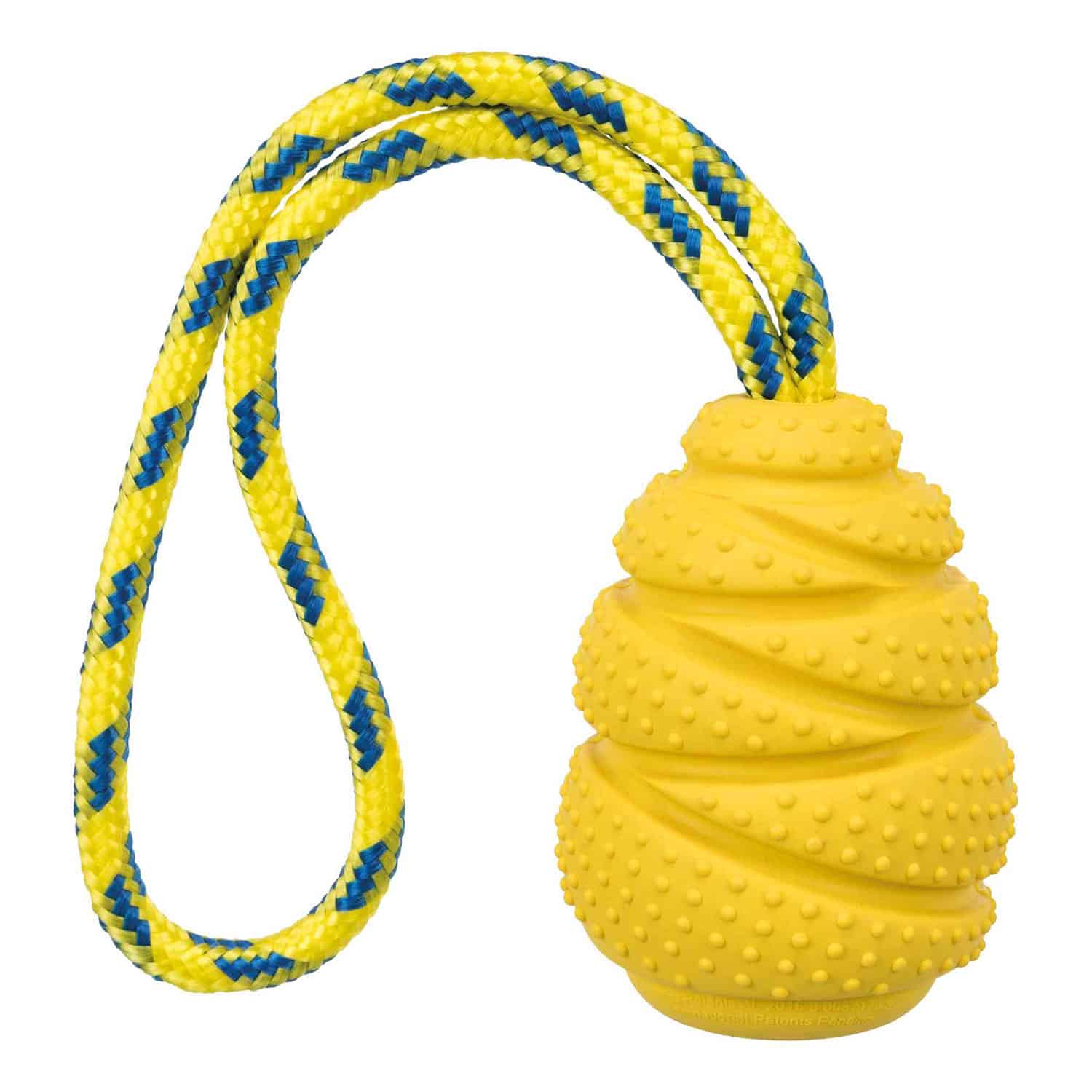 Saltador en Cuerda - Imagen 1