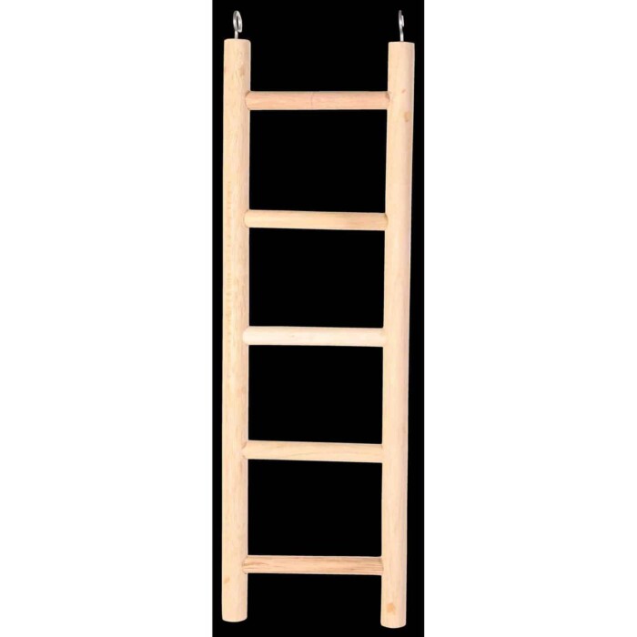 Escalera Loros - Imagen 1