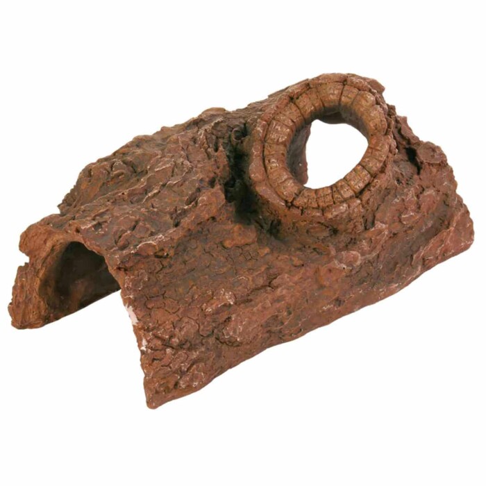 Cueva de Tronco Árbol - Imagen 1