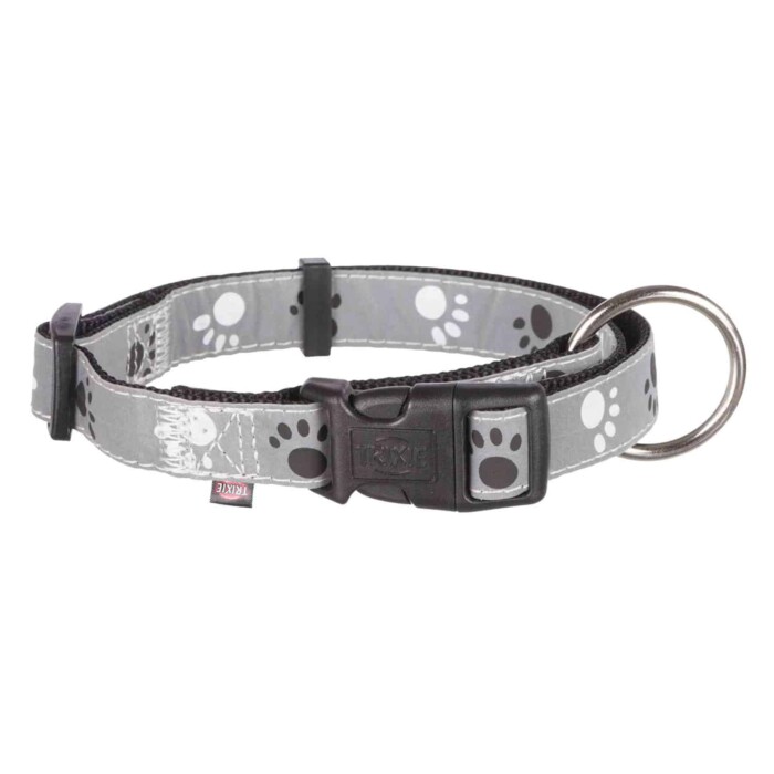 Collar Silver Reflect - Imagen 1