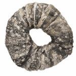 Anillo Masticable con Pescado, ø 10 cm - 1 Unidad