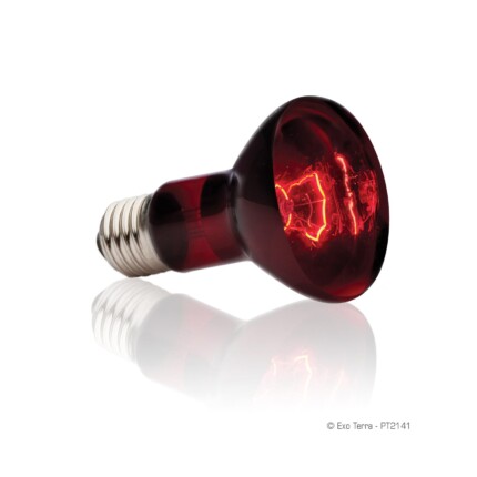 Exo-Terra Luz Solar Infrared