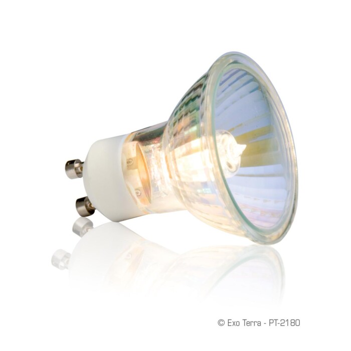 Exo-Terra Luz Halógena Sun Glo - Imagen 1