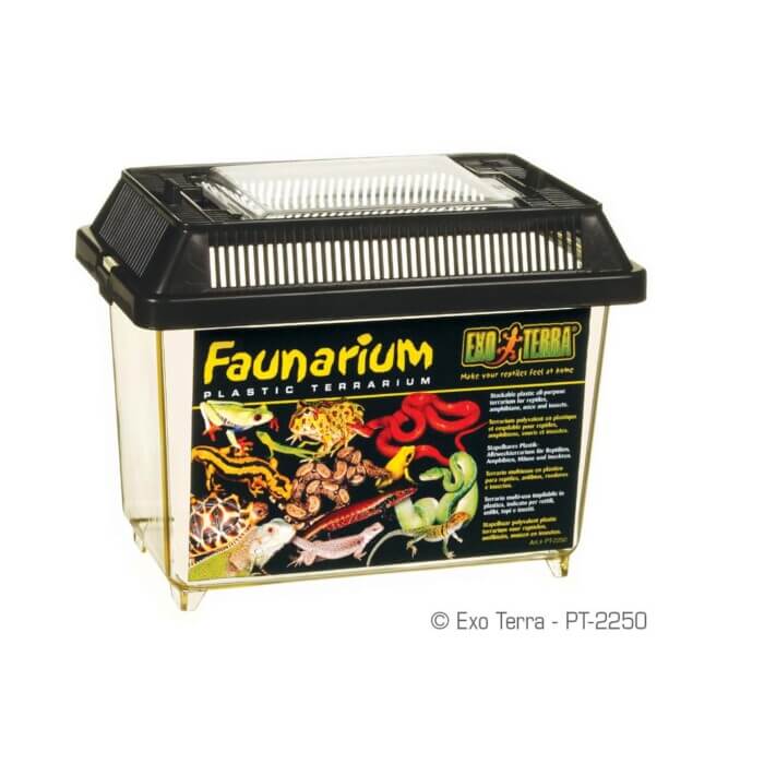 Exo-Terra Faunarium - Imagen 1