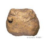 Exo-Terra Feeding Rock