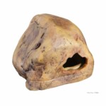 Exo-Terra Gecko Cave