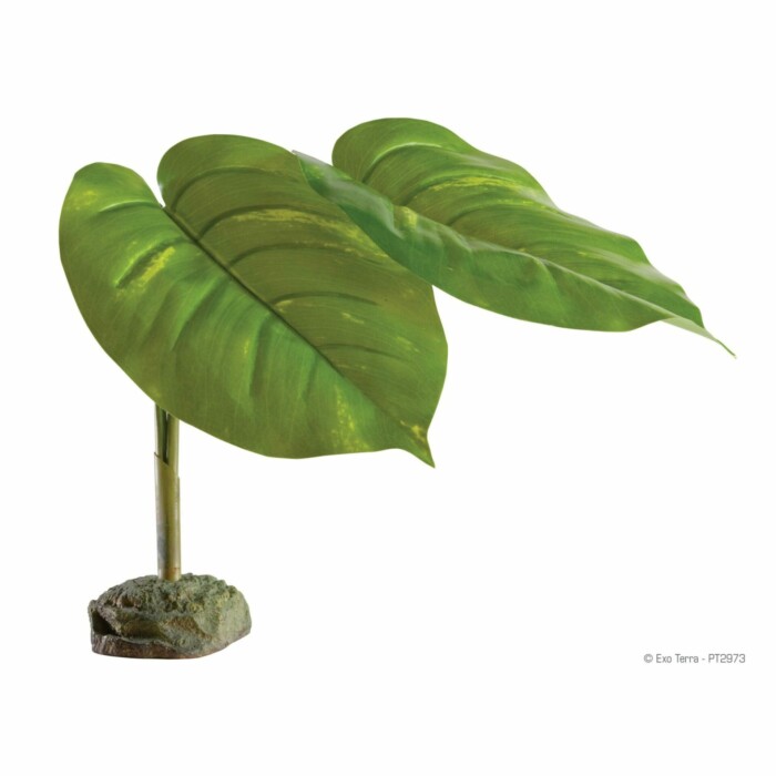 Exo-Terra Scindapsus - Imagen 1