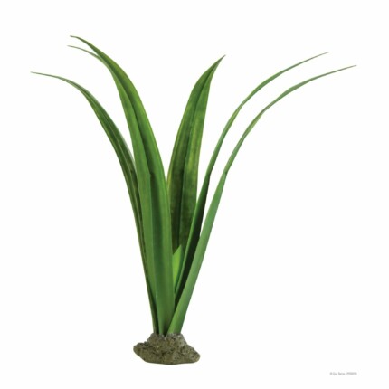 Exo-Terra Pandanus