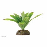 Exo-Terra Bromelia