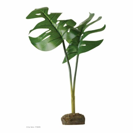 Exo-Terra Philodendron
