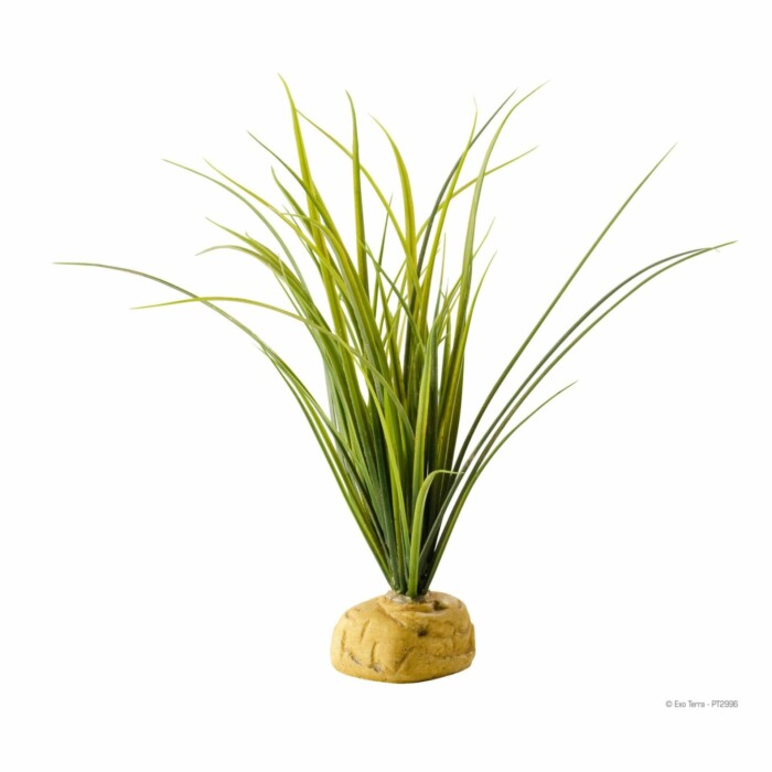 Exo-Terra Plantas para suelo - Imagen 1