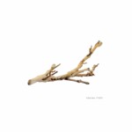 Exo-Terra Forest Branch